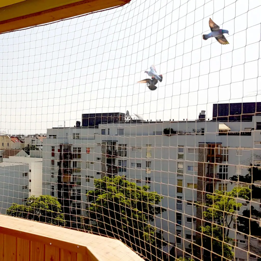 Pigeon net Prabhat Bird netting